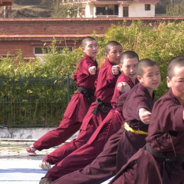 Kung Fu Nuns at CERN Show a Different Energy